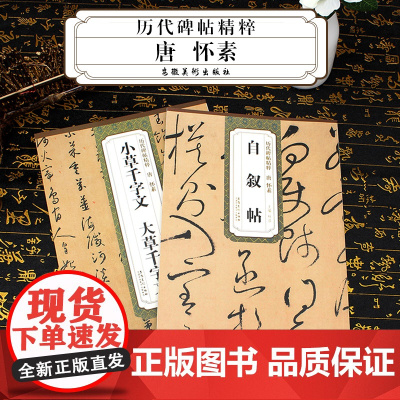 2本历代碑帖精粹 唐 怀素 小草千字文大草千字文 自叙帖 简体旁注 草书碑帖毛笔字帖