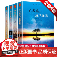 万丈光芒的梦想 全4册 心灵鸡汤人生哲学正能量青春文学励志哲理 自我修养做内心强大的女人成人修养气质热门书籍 书排行榜