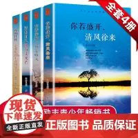 万丈光芒的梦想 全4册 心灵鸡汤人生哲学正能量青春文学励志哲理 自我修养做内心强大的女人成人修养气质热门书籍 书排行榜