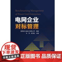 电网企业对标管理 国网湖北省电力有限公司,朱伟,张承彪 著 电工技术/家电维修专业科技 正版图书籍 中国电力出版社