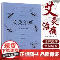 艾灸治痛 向阳 向云飞 编著 9787521418781 中国医药科技出版社 用艾灸治疗全身各处痛症的通俗读物 中医书籍