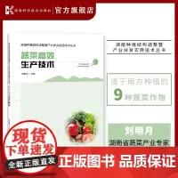 湖南种植结构调整暨产业扶贫实用技术丛书:蔬菜高效生产技术