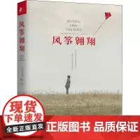 风筝翱翔 (美)亚历克斯•乔治 著 韩冬 译 现代/当代文学文学 正版图书籍 江苏文艺出版社