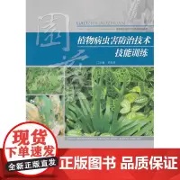正版 植物病虫害防治技术技能训练 罗先源 重庆大学出版社 9787562474548