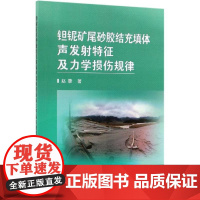 钽铌矿尾砂胶结充填体声发射特征及力学损伤规律 赵康 著 冶金工业专业科技 正版图书籍 冶金工业出版社