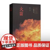 火苗 顾坚 著 现代/当代文学文学 正版图书籍 安徽文艺出版社