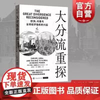 大分流重探/欧洲印度与全球经济强权的兴起 瑞士罗曼施图德经济史与思想史丛书世界经济史工业革命世界历史计量史学 格致出版社