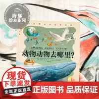 动物动物去哪里 国际获奖精装海豚绘本花园儿童图画故事书0-1-2-3-4-5-6岁幼儿园宝宝亲子阅读幼儿读物硬壳批发