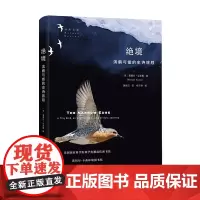 绝境:滨鹬与鲎的史诗旅程 (自然文库) [美]黛博拉·克莱默 施雨洁 译 商务印书馆