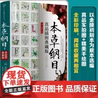 本草纲目:真品插图典藏版 本草纲目彩图版中药书中药书籍中草药大全中草药全图鉴中药快快记中医养生书籍中药大辞典中药大全