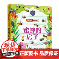 [接力出版社]尤斯伯恩偷偷看里面系列 蜜蜂的房子1-3-4岁宝宝儿童启蒙认知科普百科亲子互动昆虫世界3d立体翻翻书绘图画