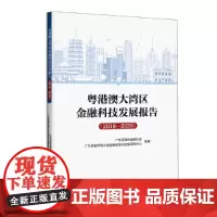 粤港澳大湾区金融科技发展报告(2018-2020)