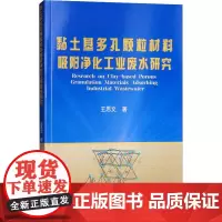 黏土基多孔颗粒材料吸附净化工业废水研究 王恩文 著 化学工业专业科技 正版图书籍 中国农业大学出版社