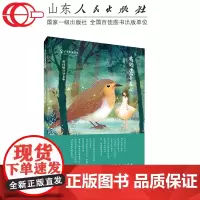 我的迷雾森林 小学作文写作素材 苇枫著 2021年寒假读一本好书活动儿童文学图书必读老师学校经典书目读物图书 山东人民