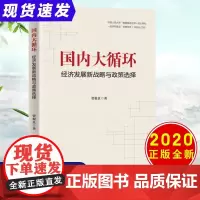 国内大循环 经济发展新战略与政策选择 贾根良 著 中国经济/中国经济史经管、励志 正版图书籍 中国人民大学出版社