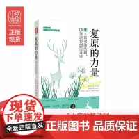 中资海派 复原的力量 5大高效能法则逆势创造奇迹神经学心理学生理学复原法则自卑与超越轻疗愈自愈治愈做自己的心理医生爱自己