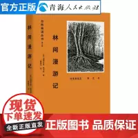 林间漫游记温思罗普帕卡德著美国现当代文学作品经典精选自然文学书籍四季物候志名家经典散文随笔集自然文学书籍