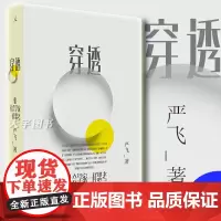 正版 穿透:像社会学家一样思考 严飞 清华大学社会学家 中国社会图景 社会学概论理论 社会学的想象力 书籍 理想国图