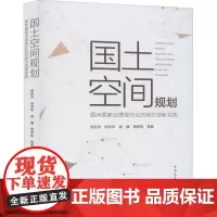 国土空间规划 面向国家治理现代化的地方创新实践 何冬华 等 著 建筑/水利(新)专业科技 正版图书籍