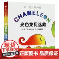 CHAMELEON 变色龙捉迷藏明天出版社精装硬壳绘本图画书儿童启蒙认知故事书0-3-5-6-7岁宝宝幼儿家庭早教亲子读