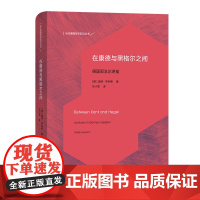 在康德与黑格尔之间:德国观念论讲座 当代德国哲学前沿丛书 [德]迪特·亨利希 乐小军 译 商务印书馆