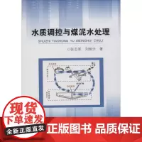 水质调控与煤泥水处理 张志军,刘炯天 著 工业技术其它专业科技 正版图书籍 冶金工业出版社