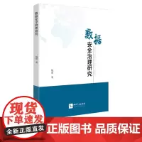 数据安全治理研究 杨蕾 袁晓光 知识产权出版社