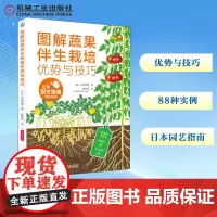 图解蔬果伴生栽培优势与技巧 (日)木岛利男 著 赵长民 译 园艺专业科技 正版图书籍 机械工业出版社