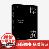 岸萤 陈传兴 著 散文集 精神自传 电影《他们在岛屿写作》总监制 中信出版社图书 正版