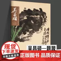 吴昌硕 中国历代画家绘画题跋选萃 书画诗文落款印章草书行书书法画集中国山水写意水墨章法布局山水册页高清放大山东美术出版社