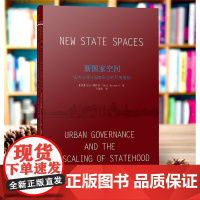 新国家空间:城市治理与国家形态的尺度重构 世界城市管理研究 江苏凤凰教育出版社