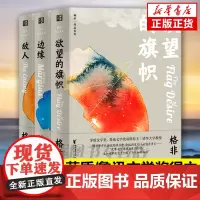欲望的旗帜+边缘+敌人 全3册套装 格非长篇小说系列 茅盾文学奖鲁迅文学奖双料得主格非代表作 现当代文学散文随笔名家名作