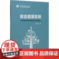 综合能源系统 曾鸣 等 著 能源与动力工程专业科技 正版图书籍 中国电力出版社