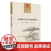 中国现当代文学研究论集 9787567233256