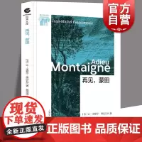 再见,蒙田 漫步哲学林 让米歇尔德拉孔代 另著/步行哲学家/斯宾诺莎奇迹照亮人生的哲学 西方外国哲学 上海文化出版社