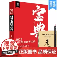 2022四川美术联考宝典 敲门砖段健 素描速写色彩川美考题解析艺考书籍