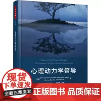万千心理.心理动力学督导 (英)克里斯蒂娜·德赖弗 等 著 黄杏杏 译 心理学社科 正版图书籍 中国轻工业出版社