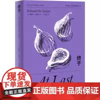 终于 (英)爱德华·圣奥宾 著 冯洁音 译 外国小说文学 正版图书籍 上海译文出版社