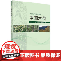 中国木荷 林业科学出版社 正版书籍