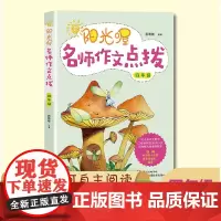 阳光喔名师作文点拨 四年级上下册 版 同步作文 小学生作文 小学生作文大全 四年级同步作文 小学作文书范文大全写作技巧书
