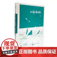 [接力出版社]北部湾明珠 李元君中国现当代散文集小说纪实文学北海古代海上丝绸之路始发港旅游观光指南中国国家地理书籍