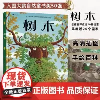 树木精装手绘百科绘本 浪花朵朵童书 入围大鹏自然童书奖50强 蜜蜂绘本系列续集 科普百科图画书 科普认知全书 儿童绘本故