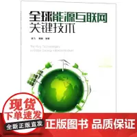 全球能源互联网关键技术 袁飞,黄珊编著 著 各部门经济专业科技 正版图书籍 化学工业出版社