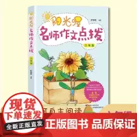 阳光喔名师作文点拨 六年级上下册 版 同步作文 小学生作文 小学生作文大全 六年级同步作文 小学作文书范文大全写作技巧书