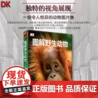 DK图解野生动物百科经典绝美图像 哺乳类鸟类爬虫类两栖类鱼类及无脊椎类 孩子动物大书