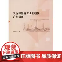 发达国家再工业化研究 廖丽平 著 著作 各部门经济生活 正版图书籍 广东高等教育出版社