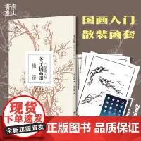 芥子园画谱精选放大版 梅谱 康熙原版国画技法经典作品 中国画入门技法正版书籍 国画临摹画册册页 清王概芥子园画传