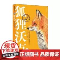 正版 漂流瓶文化馆 狐狸沃克 儿童文学课外读物杨玲玲 3-6岁阅读的图画书儿童课外读物绘本故事书幼儿园 明天出版社