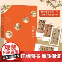 风物人间 雪小禅散文集 风靡网络的美好生活指南 惜物者的生活美学态度 给年轻人另一种生活力量