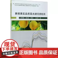 黄桃果实品质高光谱无损检测 田明璐 等 著 农业基础科学专业科技 正版图书籍 中国农业科学技术出版社